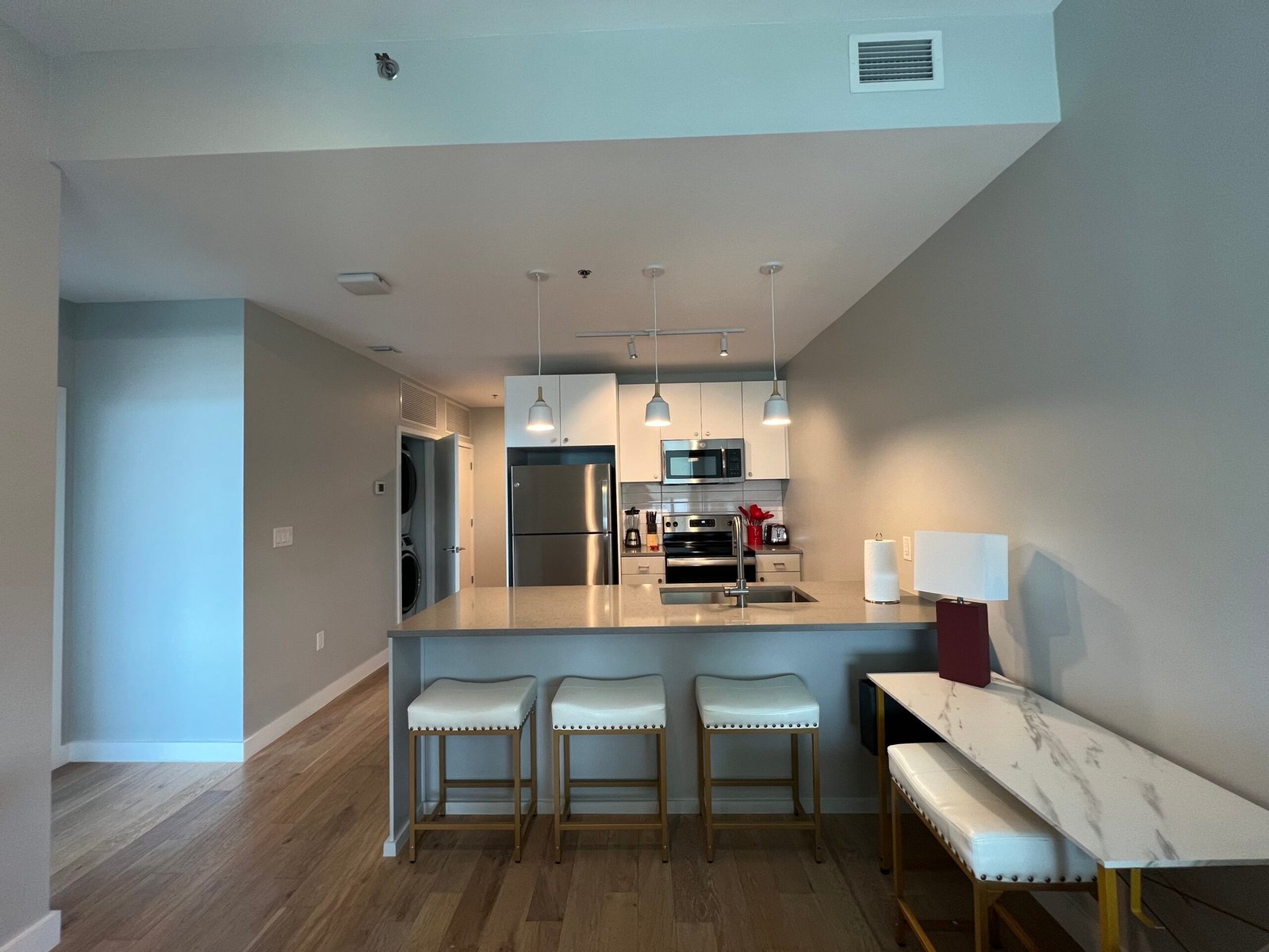 20L: 1 Bedroom 1 Bathroom Unit